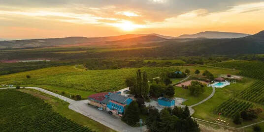 Egy cseppnyi Toszkána Magyarországon - WineArtCulture cikke