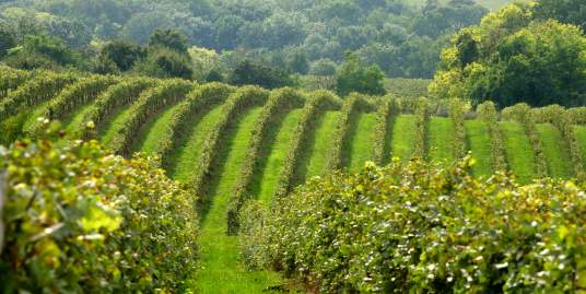 A GINOP-2.1.2-8-1-4-16-2018-00580 sz. projektünk elért eredményei